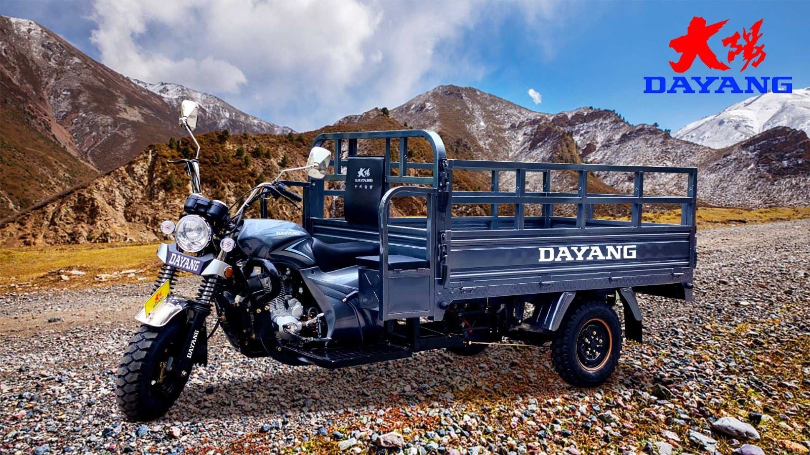 Classic Motorized Cargo Tricycle Driving best price Classic Motorized Cargo Tricycle Driving best price