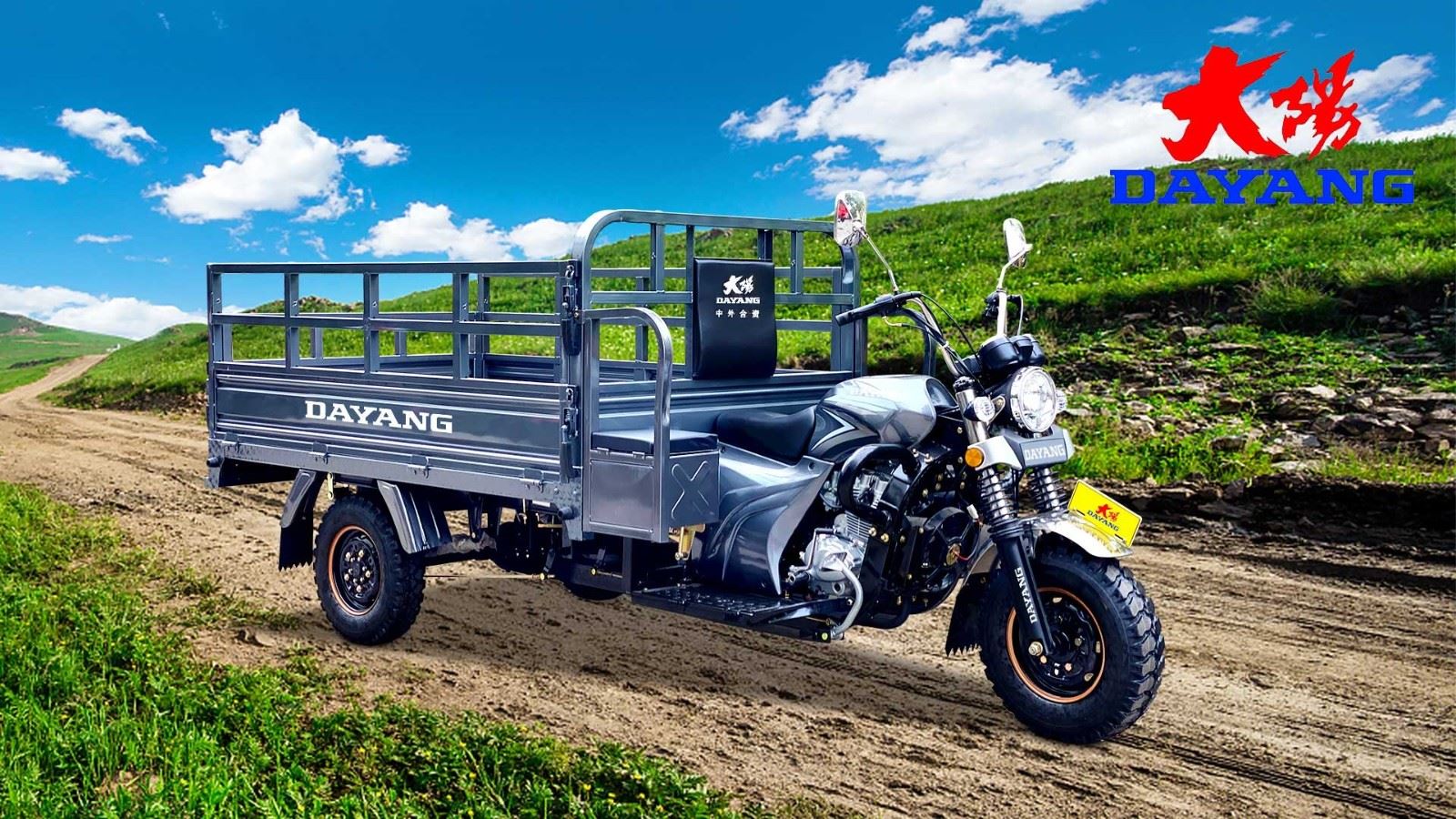 Classic Motorized Cargo Tricycle Driving OEM Classic Motorized Cargo Tricycle Driving OEM