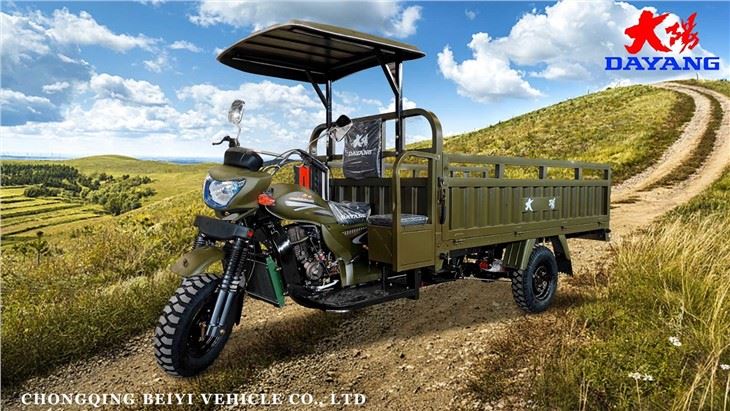 300cc Cargo Motorized Tricycles