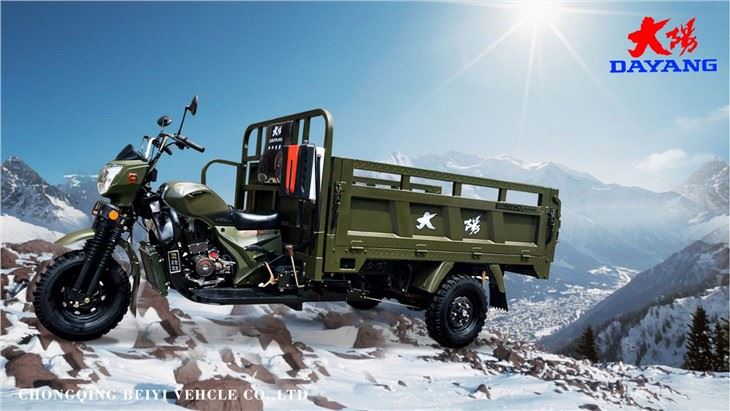 powerful 300CC Trike Motor