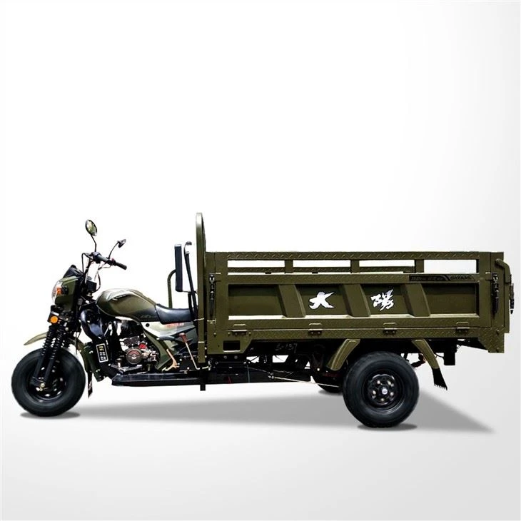 300CC Trike Motor for heavy duty 