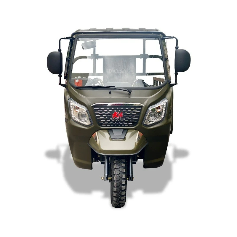 2025 New Tricycle Motorcycle